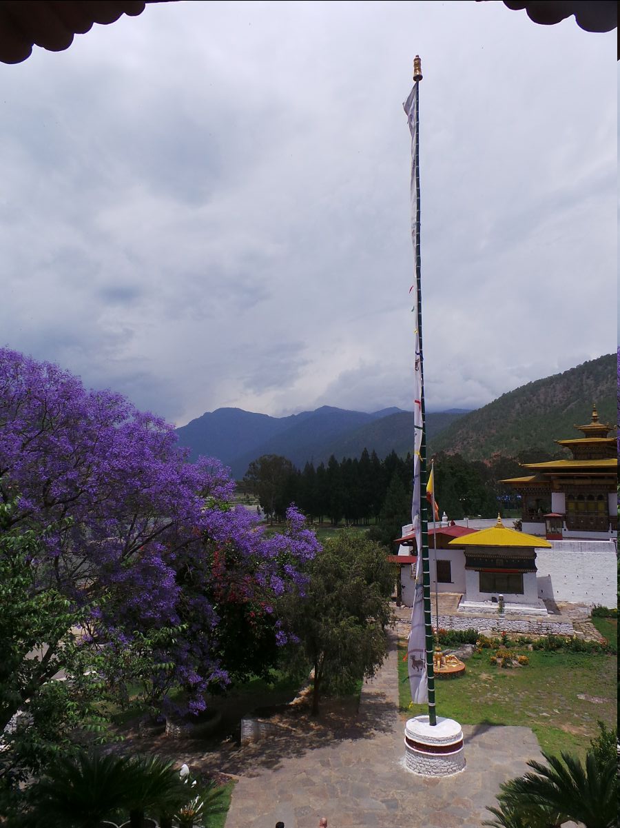 Punakha Dzong124